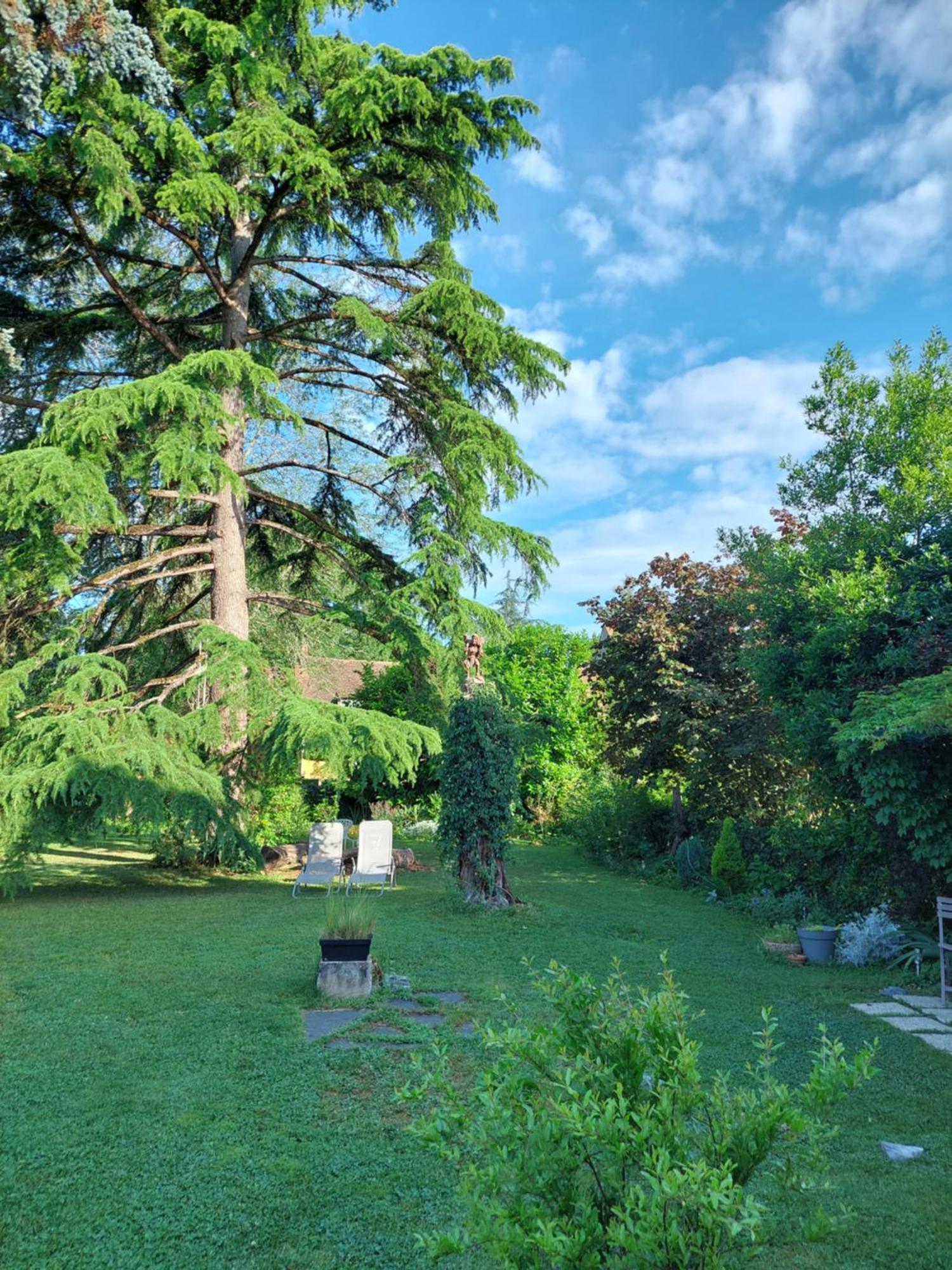 Rue du Château Lalinde Extérieur photo