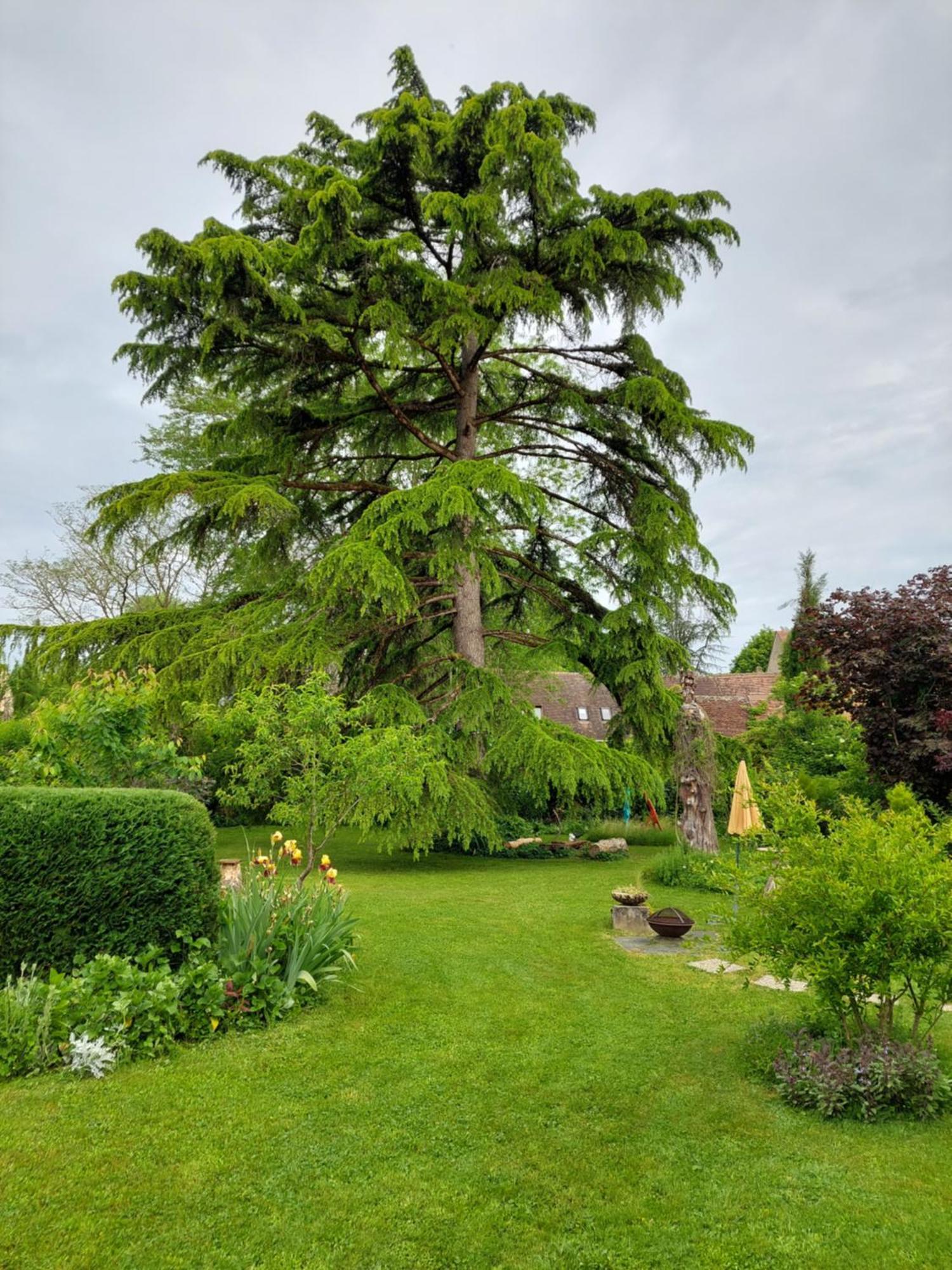Rue du Château Lalinde Extérieur photo